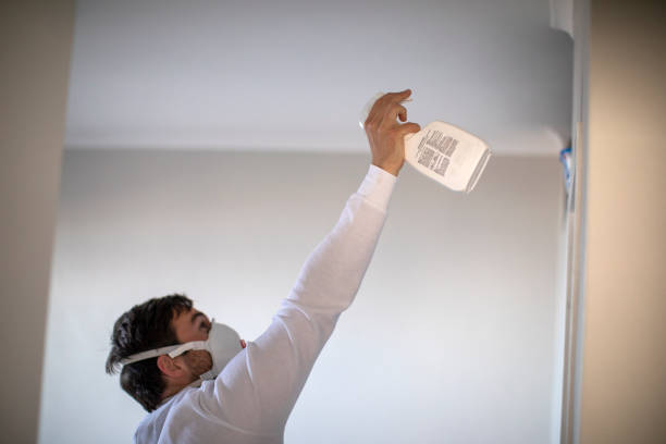 Best Mold Testing and Inspection Services in Wardsville, MO