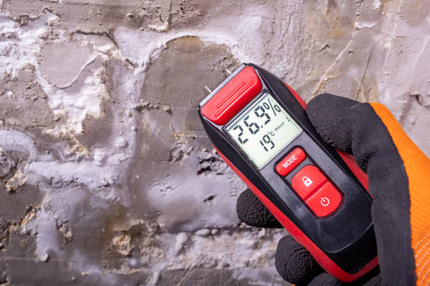 Best Post-Remediation Services in Wardsville, MO