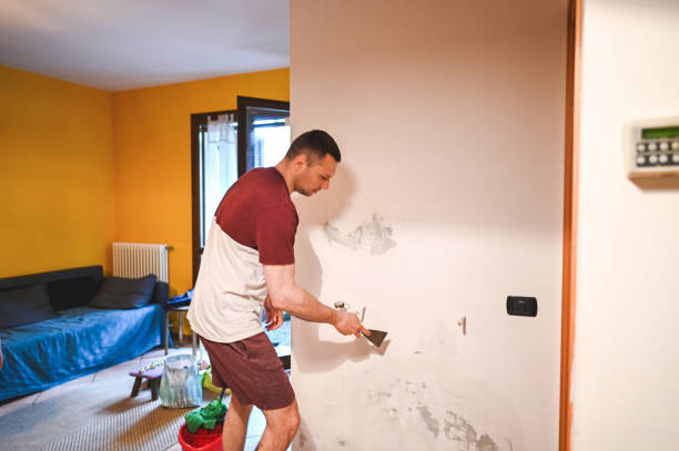 Best Post-Flood Mold Remediation in Wardsville, MO